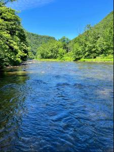 a view of a river with trees in the background at Water & Electric Site 30 Amp Pull trough up to 27 in Gaines