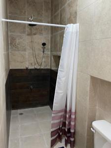 Bilik mandi di Colibrí Apartment