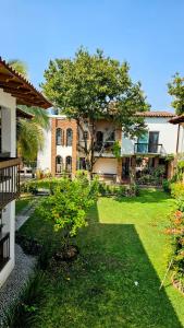 un cortile di fronte a un edificio con un albero di Los Temazcales de Xochitepec a Xochitepec