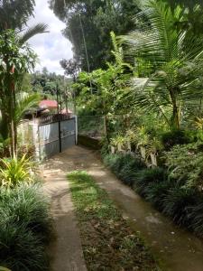 Κήπος έξω από το Fruit & Spice garden home stay
