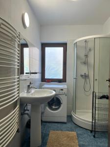 a bathroom with a sink and a washing machine at Cheerful 4-bedroom & kids friendly home in Predeal