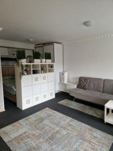 オトペニにあるApartament in Otopeniのソファとベッドのあるリビングルーム