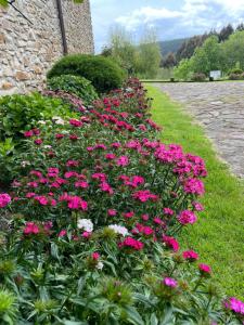 un ramo de flores rosas en un jardín en Hotel-Apartamento Rural Atxurra, en Bermeo