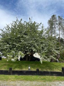Jardín al aire libre en Hotel-Apartamento Rural Atxurra