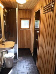 a bathroom with a toilet and a sink at Koljonvirta Cottages in Iisalmi +28 photos