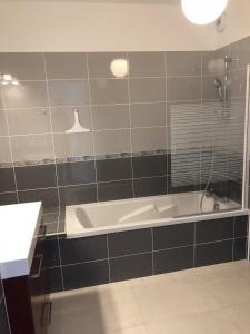 Koupelna v ubytování Appartement T2 46 m2 O'Lac proche du lac 1 chambre parking terrasse + 16 fotografií