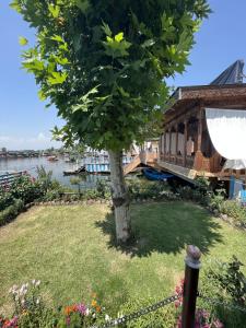 Výhled na řeku, která protéká v blízkosti hotelu