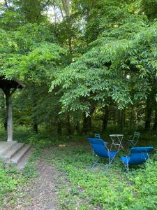 two blue chairs and a table under a tree at Charmant chalet in Auffargis