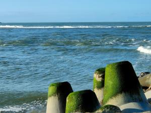 a group of green rocks on the beach at Enzo Hotels Quimperle in Quimperlé +9 photos