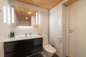 a bathroom with a sink and a toilet and a mirror at Kuukkeli Log Houses Teerenpesä - Superior Suite A49 in Saariselka +34 photos