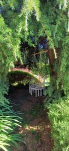 A garden outside Villa Azalea