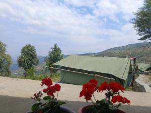 Peisaj natural din apropierea acestui camping +35 fotografii