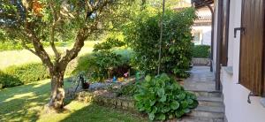 A garden outside Villa Azalea
