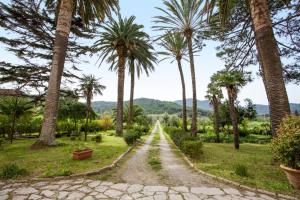 a dirt road lined with palm trees in a park at Appartamento Podere San Marco - Bilocale in Portoferraio