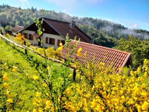 a house in the middle of a field of yellow flowers at Gite le grenier du roc in Thiéfosse +25 photos