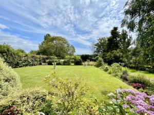 a garden with green grass and flowers and trees at Home from home in Hastings +7 photos