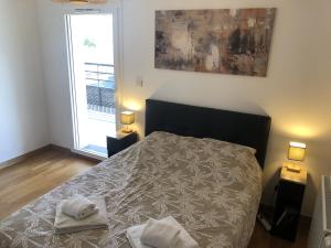 Postel nebo postele na pokoji v ubytování Appartement T2 46 m2 O'Lac proche du lac 1 chambre parking terrasse