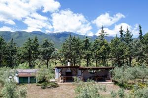 Příroda nedaleko prázdninového domu