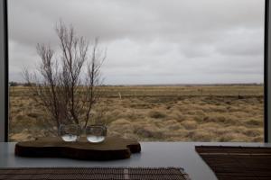 Природа поблизу the country house