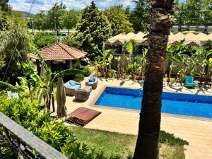 乌尔拉Sunyear Guest Houses 2的院子里有一棵棕榈树，院子里有一个游泳池