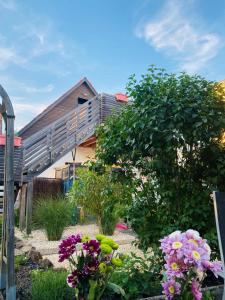 a garden with flowers in front of a house at Casa del Sol in Schwaigern