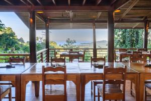 Gallery image of Samasati Rainforest Bungalows in Talamanca +111 photos