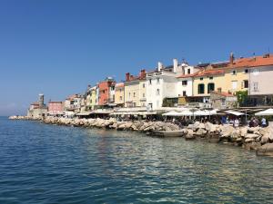 a group of buildings next to a body of water at Apartment Marjo in Piran