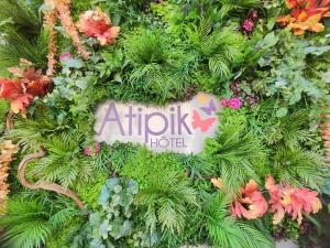 Atipik Hôtel外面的花园