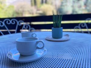 Fotografie z fotogalerie ubytování SunsetView - Lake Como swimming pool and garden v destinaci Lierna