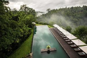 Бассейн в Alila Ubud или поблизости