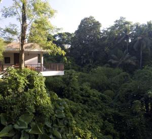 Сад в Alila Ubud