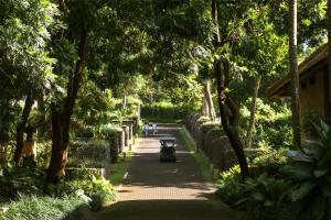 Сад в Alila Ubud