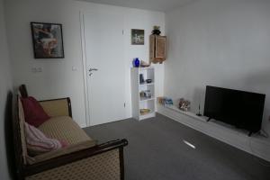 TV/Unterhaltungsangebot in der Unterkunft Wohnen am Ufer der Mosel in Trier
