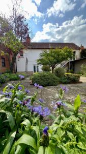 Salisbury Garden Apartment 3 beds 2 baths في Shrewton: حديقة بها زهور أرجوانية أمام المنزل
