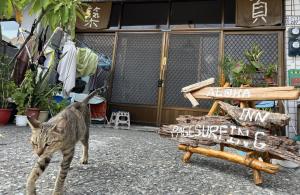 Ospiti di PageSurfingInn con animali domestici