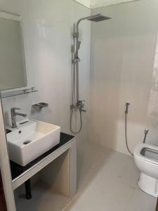 アヌラーダプラにあるLake Havenの洗面台とトイレ付きのバスルーム +8枚の写真