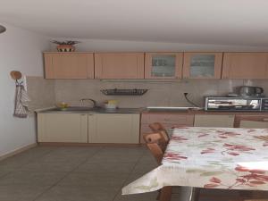 Kuchyňa alebo kuchynka v ubytovaní Modern Apartment in Starigrad with Garden