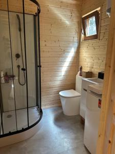 a bathroom with a shower and a toilet and a sink at Nowoczesna STODOŁA Łozówka in Chańcza +18 photos