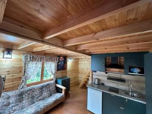 a kitchen and living room in a log cabin at Dream House in Batumi