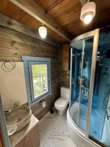 a bathroom with a shower and a sink and a toilet at Dream House in Batumi