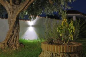 Fotografia z galérie ubytovania Villa Lella v destinácii Ardea