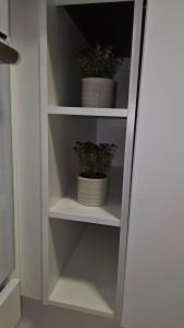 Twee potplanten staan op planken in een kast. bij Spacious studio with cathedral views in Turku