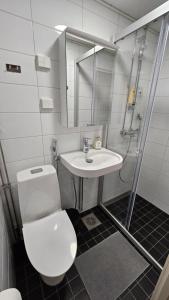 een badkamer met een toilet, een wastafel en een douche bij Spacious studio with cathedral views in Turku +5 foto's