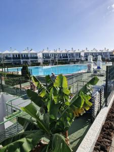 a view of a swimming pool in a resort at Bungalow Faro y Dunas Maspalomas in Maspalomas +13 photos