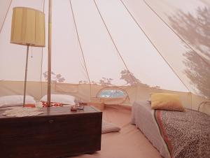a room with a bed and a lamp in a tent at Wishne Glamping Agriturismo in tende Bisceglie in Bisceglie