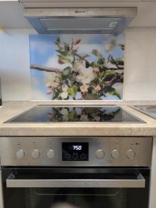 a stove top oven with a picture on the wall at Storchennest - Großzügiges sonniges Wohlfühl-Apartment mit traumhafter Terrasse in Tettnang +11 photos