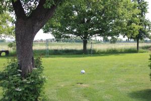 Zahrada ubytování Gästezimmer „Hühnerwiese“ + 2 fotografie