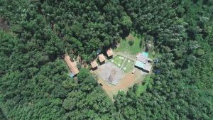 an aerial view of a house in the middle of a forest at The Natures Nest Resort in Attigundi