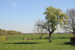 Zahrada ubytování Gästezimmer „Hühnerwiese“