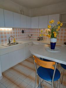 Una cocina con una encimera con fregadero y una mesa con sillas. en Apartmani Marijan Zavala-prizemlje, en Zavala